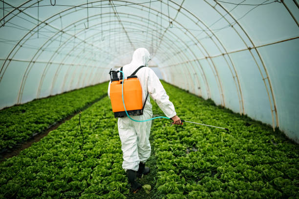 Best Pest Control Near Me  in Country Clu, FL