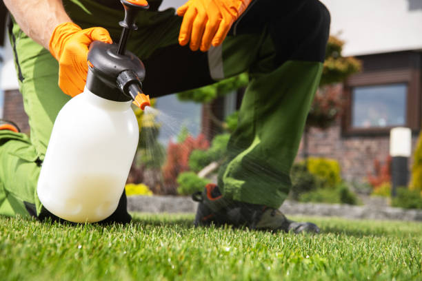 Best Mosquito Control Services  in Country Clu, FL