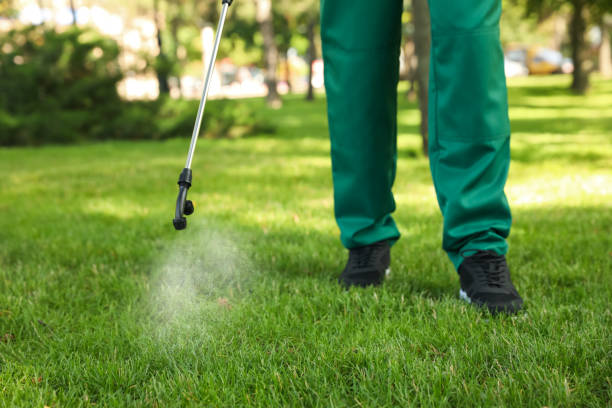 Best Emergency Pest Control  in Country Clu, FL