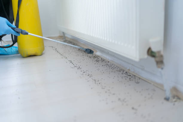Best Spider Control Near Me  in Country Clu, FL