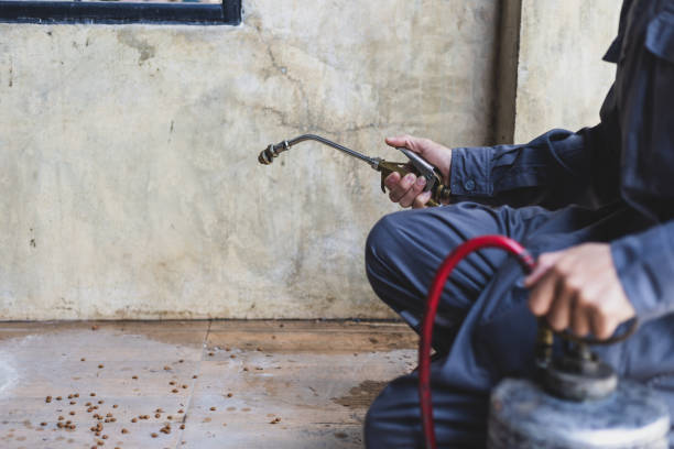 Best Pest Control Near Me in Country Clu, FL